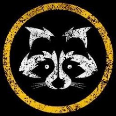 Racoon Gamer