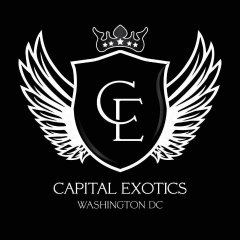 Capital Exotic