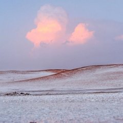 صالح العبداللطيف