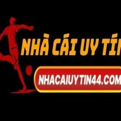 nhacaiuytin