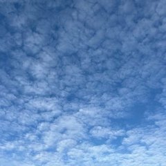 Tưởng Quốc Trung