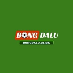 bongdaluaccountant