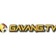 gavangtvllc
