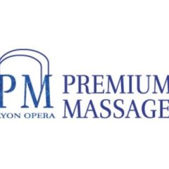 Premium Massage